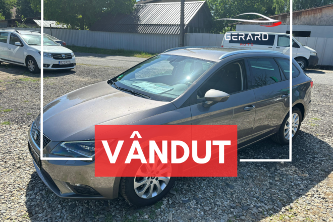 Seat Masini Valcea Vanzare